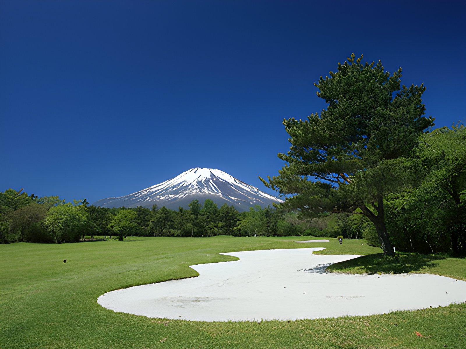 富士ゴルフコース