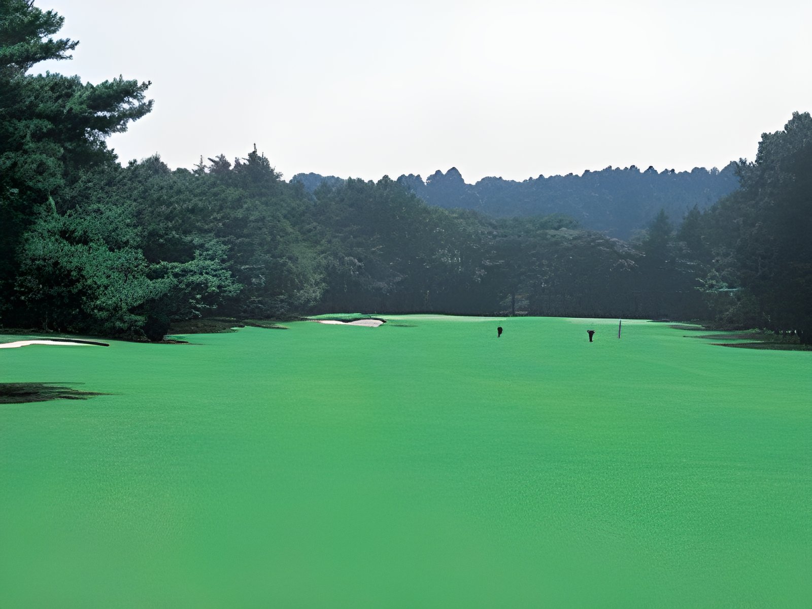 静岡カントリー島田ゴルフコース