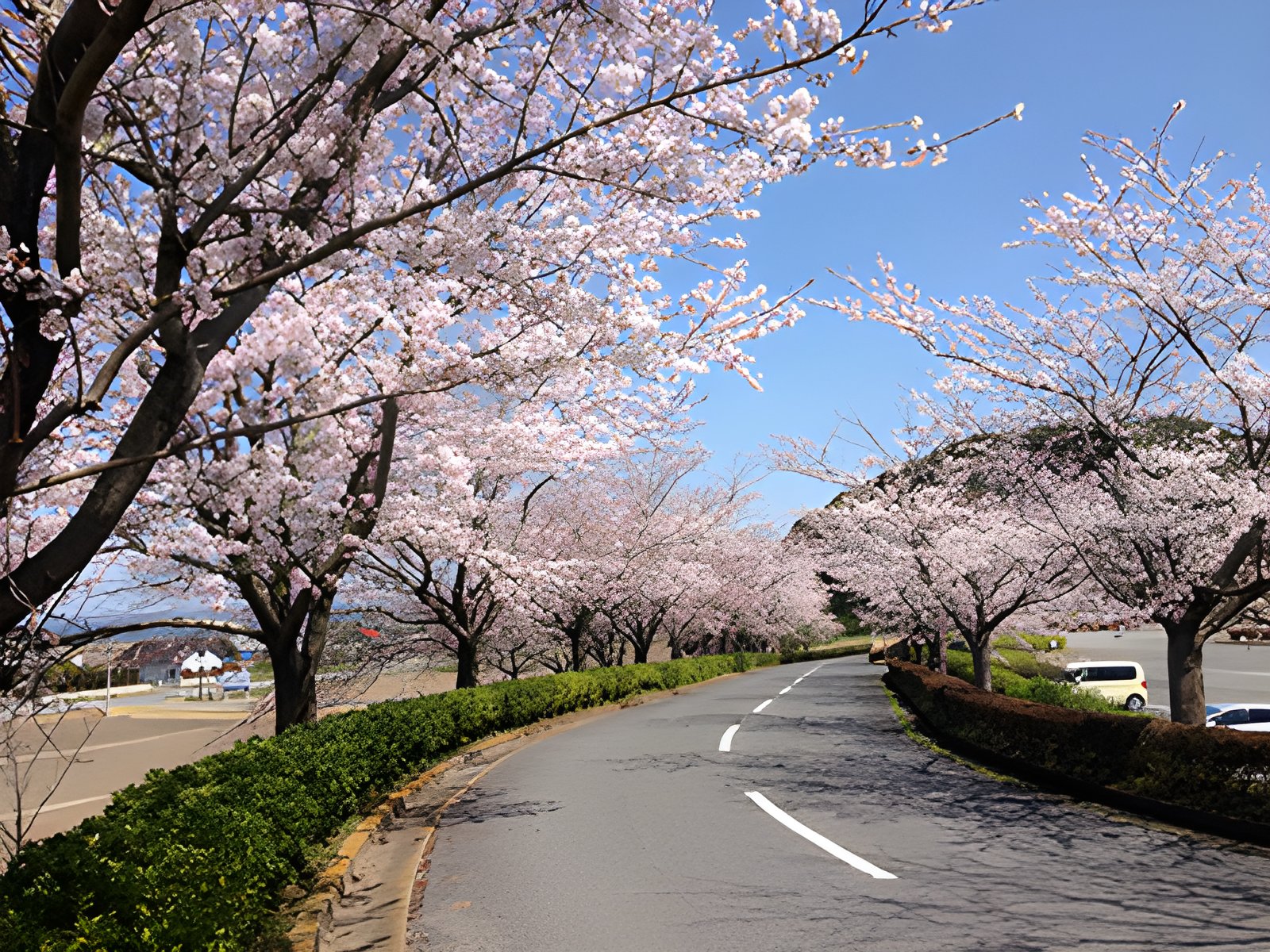 桜ゴルフ倶楽部
