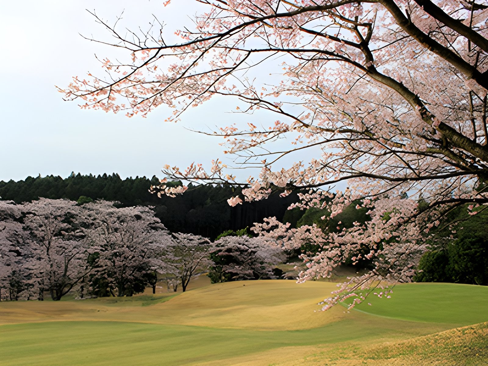 桜の宮ゴルフ倶楽部
