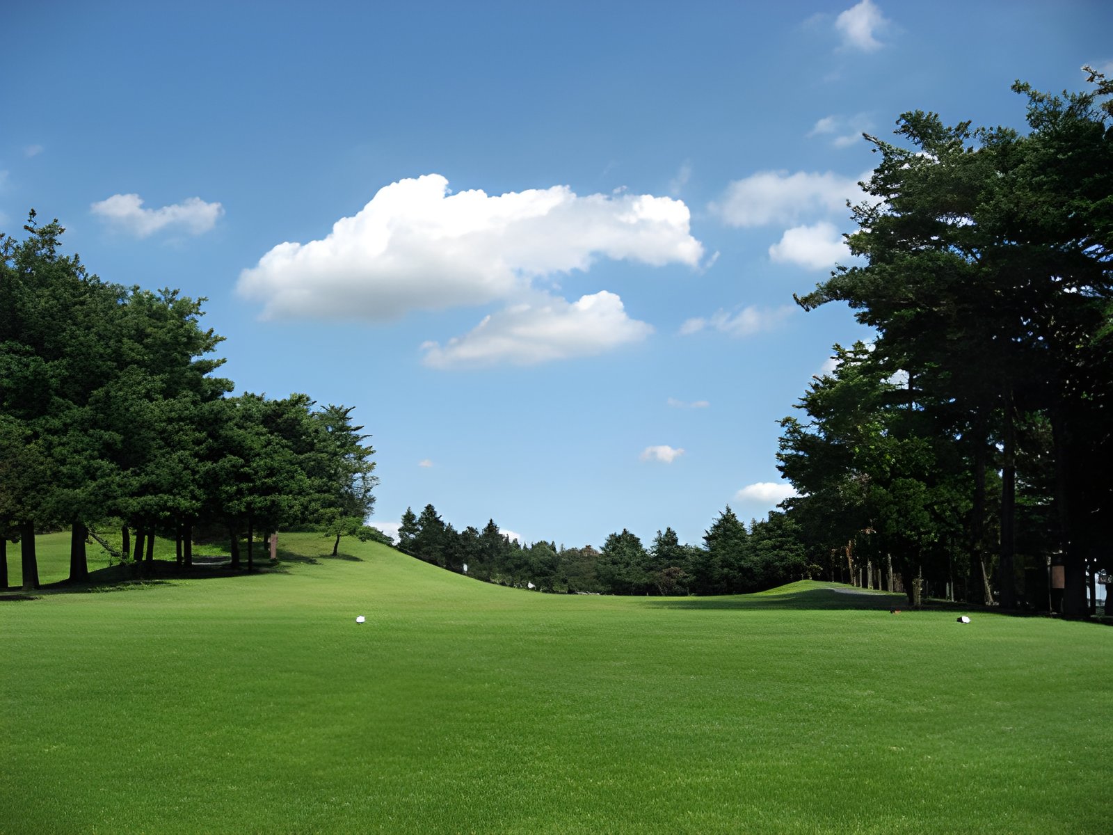 岡部チサンカントリークラブ【ＰＧＭ】