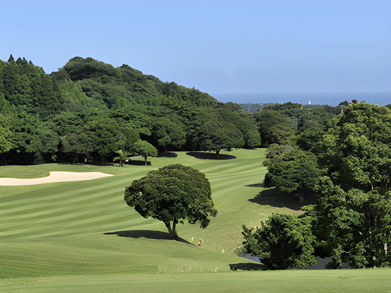 勝浦東急ゴルフコース